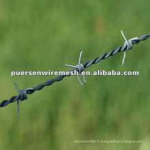 Double Twisted Barbed Wire / Thorn steel anping prix